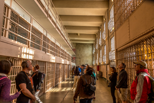Alcatraz 13